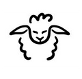 Wool Fiber Wool Fiber