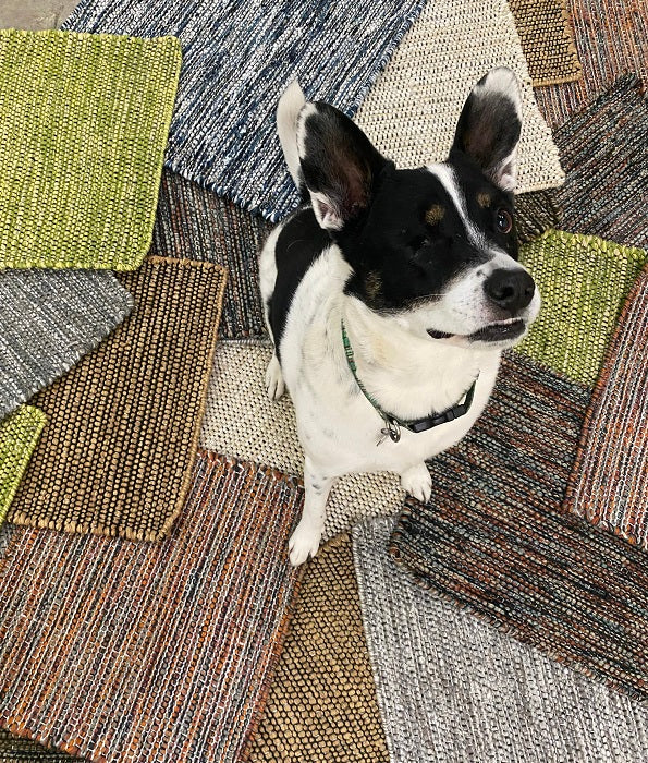 Outdoor Modern Stria - Reesa Ripple