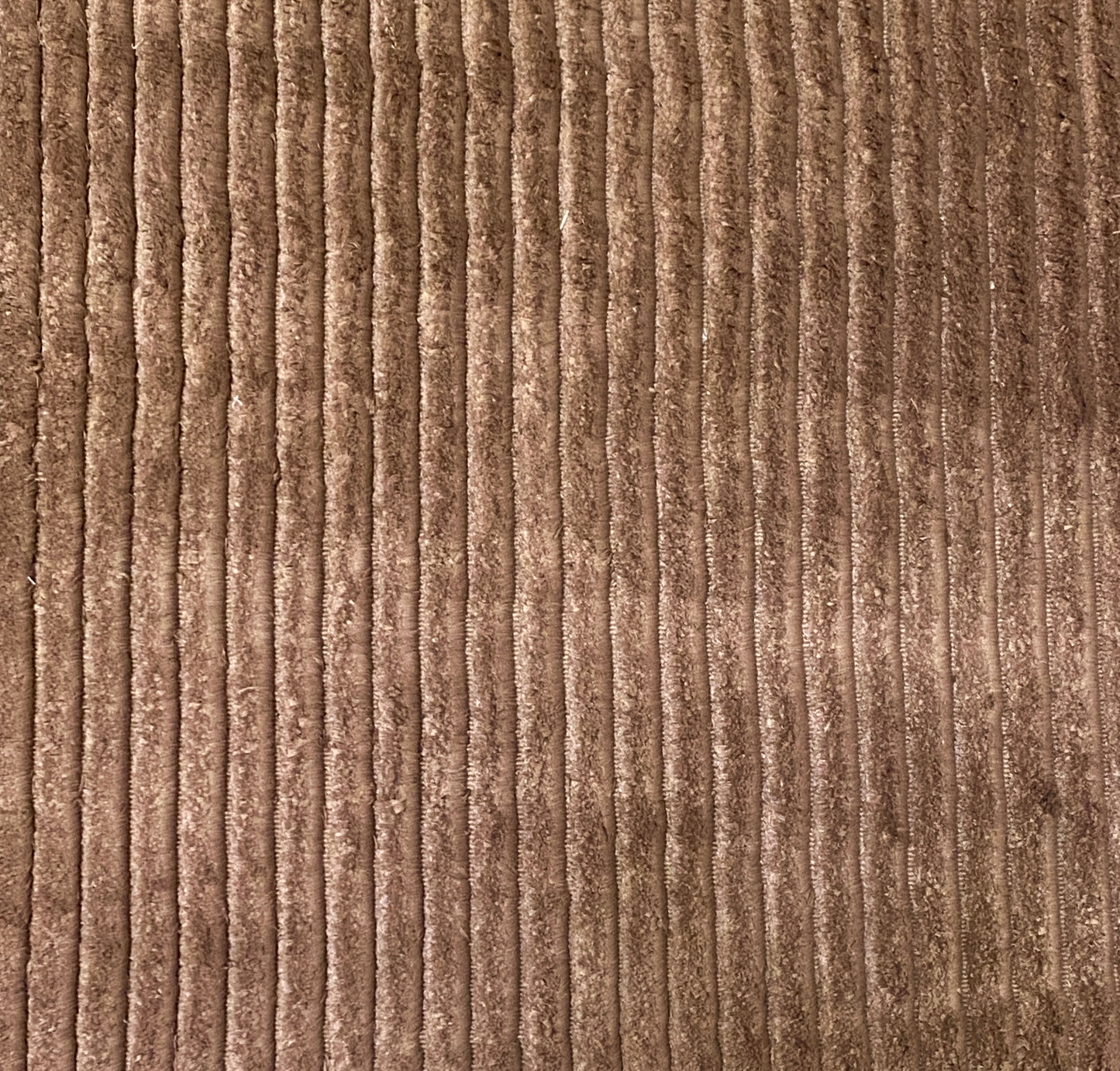 Modo Silk Stripe - Champagne Pub