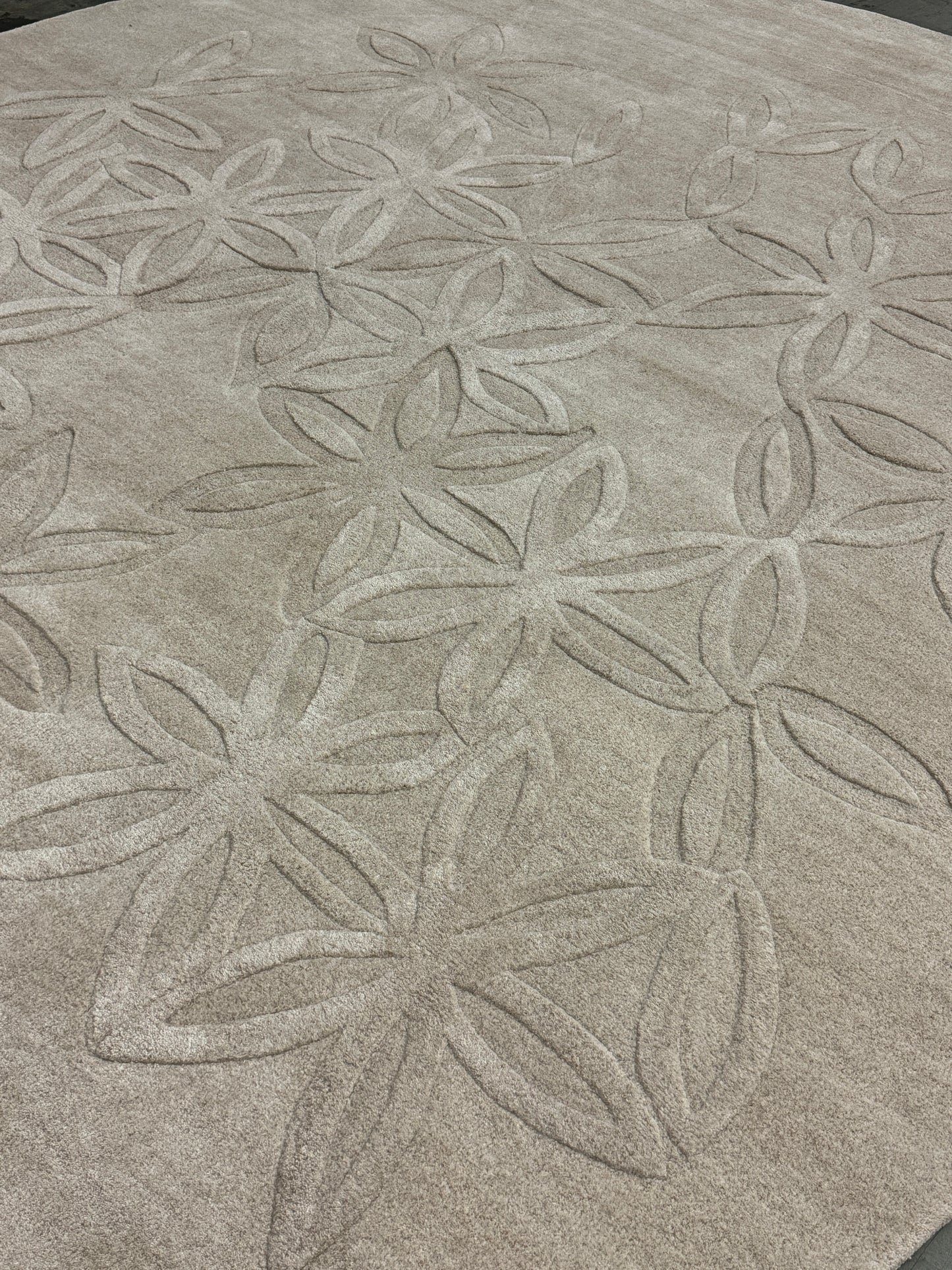 Petal Tap Star - Cream of Wheat