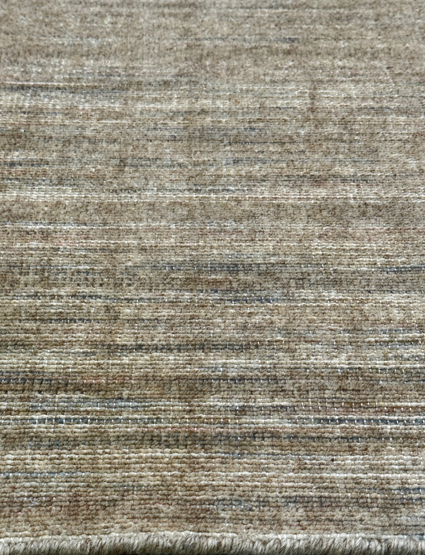 Archive Sale Venust - Fossil 4ft x 6ft