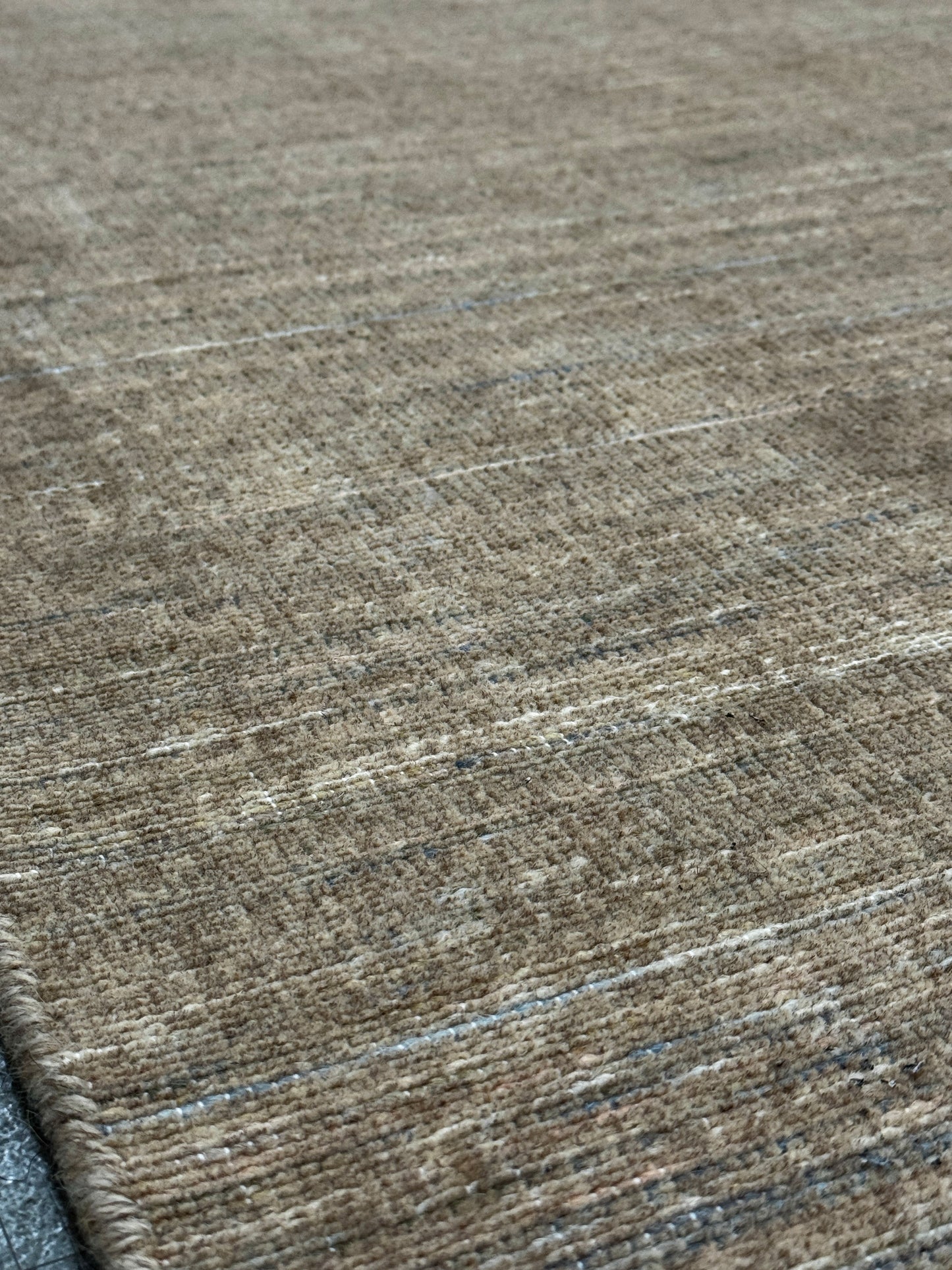 Archive Sale Venust - Fossil 4ft x 6ft